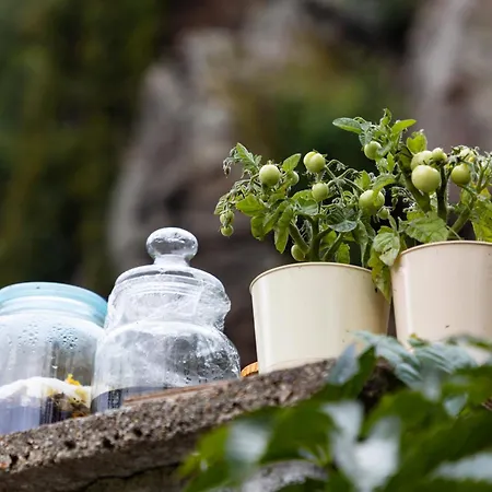 Zlate Slunce, 150m2, Az 12 Osob * Petrovice (Benesov)