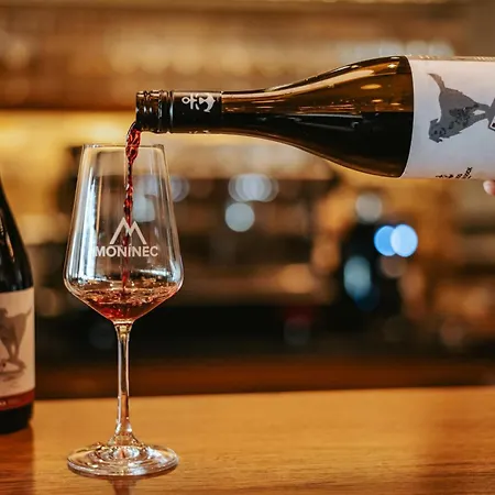 公寓 Zlate Slunce, 150m2, Az 12 Osob